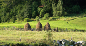 Sita Buzăului a fost declarată stațiune turistică de interes local