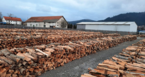 De mâine, Primăria Municipiului Săcele va începe furnizarea lemnului de foc către populație