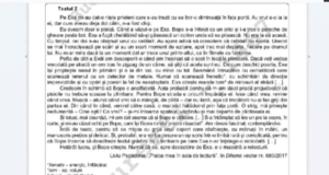 Rezolvarea subiectelor la Limba și Literatura Româna, simularea Evaluării Naționale 2024 (VIDEO)