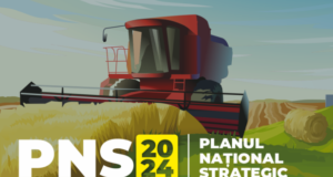 Calendarul estimativ de lansare a măsurilor Planului Național Strategic