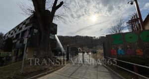Planetariul „Cosmonaut Dumitru Prunariu” Brașov angajează operator