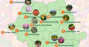 Clujul are a treia cea mai frumoasă grădină botanică din România, în timp ce Brașovul e pe zero la acest capitol