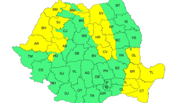 28.03 (19)