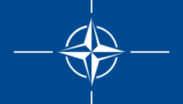 29.03 (15)