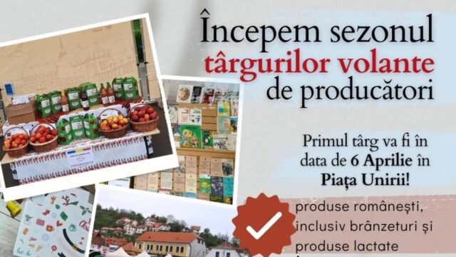 433964267_742013978046593_6069204628964011475_n_edit_64143664304331