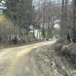 Comuna gropilor! Așa arată cea mai vizitată localitate din România! (GALERIE FOTO) 10 drum bran7