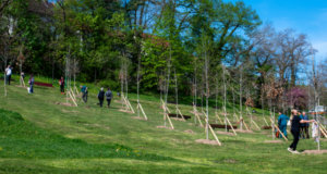 „Plantați în amintire” Brașov: A fost inaugurat al cincilea parc amenajat în memoria celor dragi