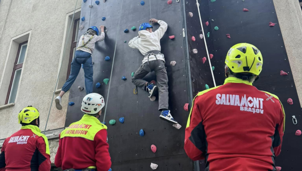 22.04 (10)