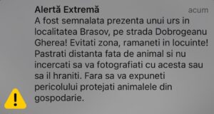 Un urs a ieșit la plimbare pe Dobrogeanu Gherea