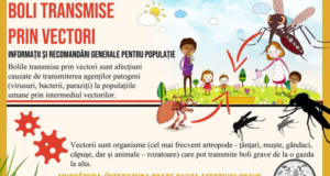 Informare privind bolile transmise prin vectori (căpușe și țânțari)