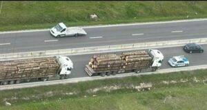 Transportatori de lemn sancționați ca urmare a nerespectării obligațiilor stabilite de legislația silvică