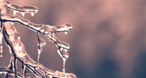 85 de ani de la un record meteo deosebit înregistrat la stația meteo de la vârful Omu: Gerul de vară din România