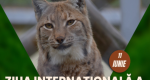 Ziua Internațională a Râsului sărbătorită la Grădina Zoologică Brașov, pe 11 iunie