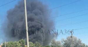 FOTO. Incendiu puternic lângă gara din Hărman