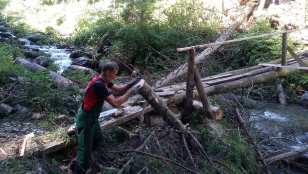 Salvamont Victoria reabilitează zona turistică, afectată de intemperii, Valea Viștișoara din Munții Făgăraș 1 31.07 5