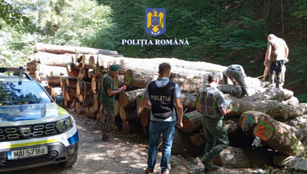 22.08 (39)