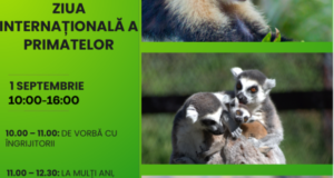 Ziua Internațională a Primatelor sărbătorită la Zoo Brașov. Copiii vor putea pregăti cadouri delicioase pentru sărbătoriți
