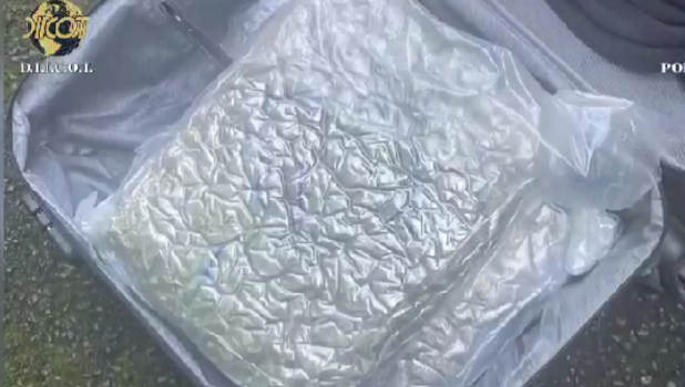 30.08 (24)