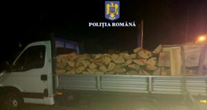 În toiul nopții, polițiștii brașoveni au prins un bărbat la furat de lemne