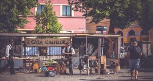 Calfele călătoare revin la Sibiu
