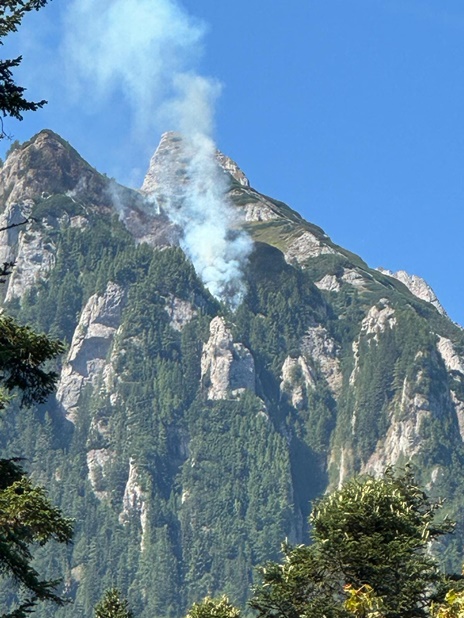 foc valea bujorilor