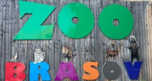 Ziua primatelor, la Zoo Brașov. 38 de „sărbătoriți” și o misiune pentru salvarea speciilor