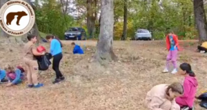 VIDEO. Copiii din Zărnești au strâns aproape 100 de kilograme de ghinde pentru hrana ursuleților de la Sanctuarul AMP Libearty