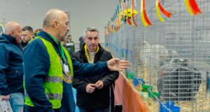 Expoziția Internațională de Găini de Rasă Brahma & Cochin, a adus la Făgăraș crescători și pasionați din întreaga țară și din străinătate
