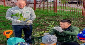 1.750 de arbori și arbuști plantați în Făgăraș cu sprijinul a 200 de voluntari
