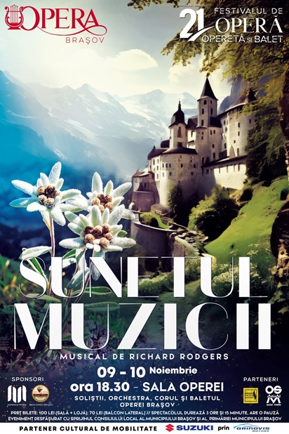 sunet muzica