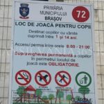 Transilvania365 a scris, primarul Scripcaru a rezolvat problema! (FOTO) 1 leagane13