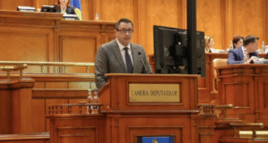Parlamentul dă undă verde intervențiilor rapide în cazul atacurilor de urși!