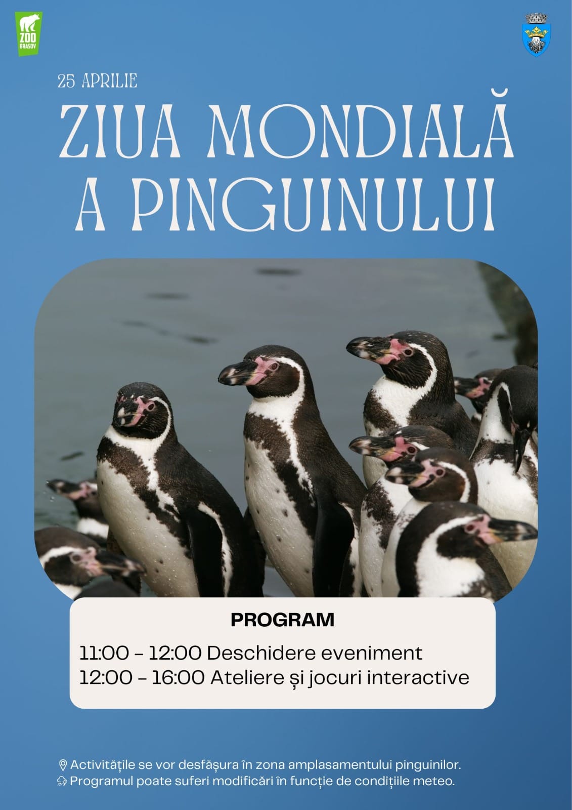 Ziua Mondială a Pinguinului, sărbătorită la Zoo Brașov cu activități interactive și descoperiri fascinante 1 Imagine WhatsApp 2025 04 23 la 11.09.28 a03aaded