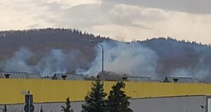 Incendiu de vegetație pe strada Panselelor din Brașov! Pompierii au intervenit de urgență (FOTO, VIDEO)
