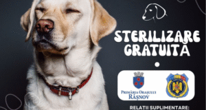 Sterilizare gratuită pentru câinii cu stăpân din Râșnov