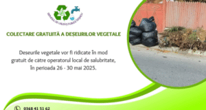 Colectare deșeuri vegetale la Râșnov între 26 și 30 mai. Vezi când se ridică în zona ta