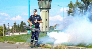 O nouă etapă de dezinsecție și tratamente fitosanitare în municipiul Brașov