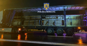 Prins cu 19 metri cubi de cherestea „fantomă”! Camion indisponibilizat de polițiști la Brașov