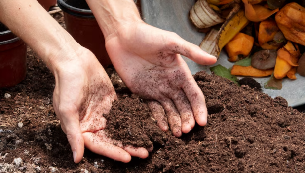 compost