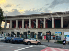 Teatrul Brașov caută un „Mowgli mic” pentru o nouă producție