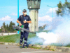 Deratizarea în Brașov continuă în perioada 2-6 noiembrie. Ce măsuri trebuie să respecte locuitorii