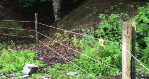 Gardul electric anti-urși din Râșnov se extinde. Peste 2,6 km montați pentru siguranța localnicilor și turiștilor