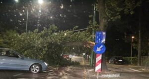 FOTO. Copac prăbușit peste un autoturism pe Calea București din Brașov. ISU a intervenit de urgență