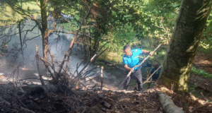 Jandarmii nu i-au iertat în minivacanța de Sfânta Maria. 71 de amenzi pentru ATV-uri, pescuit și picnicuri neregulamentare în pădure