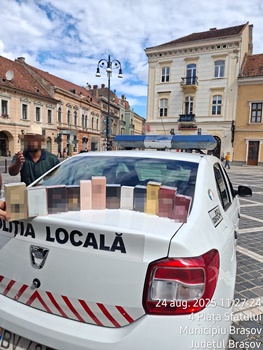 pol locala Bv