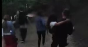 VIDEO. Ursoaică agresivă cu trei pui, panică la Pietrele lui Solomon. Turiști din India, Nepal și Noua Zeelandă salvați de jandarmi