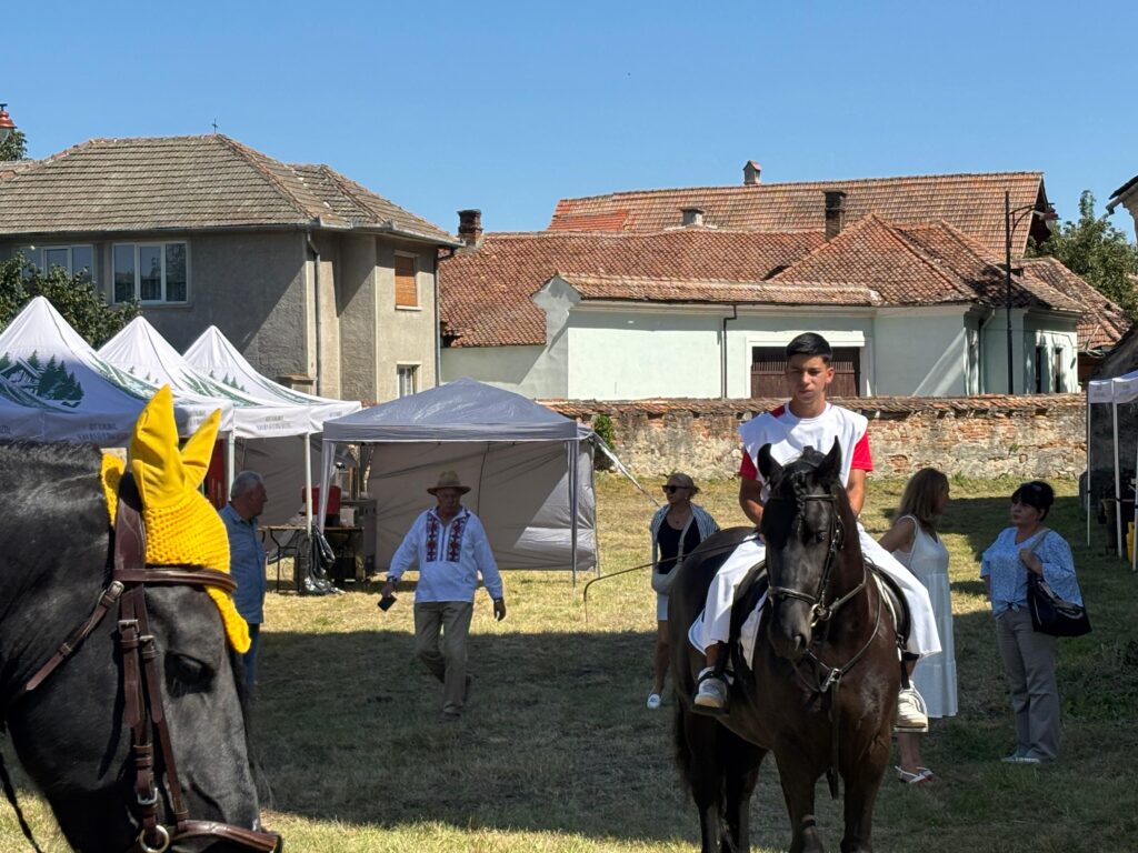 Așa a fost la Festivalul „Cavalerii Teutoni se întorc în Cetatea Feldioara”. Mii de oameni la concertul Irinei Rimes (VIDEO și GALERIE FOTO) 13 IMG 20250901 WA0003
