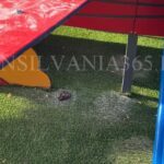 FOTO. Și-au făcut nevoile sub un tobogan din locul de joacă proaspăt inaugurat din Centrul Civic Brașov. Investiție modernă, umbrită de lipsa de educație 3 rahat parc1