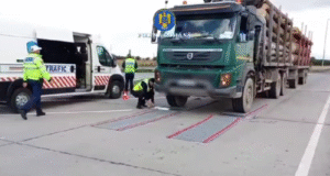 Transporturi ilegale de lemn oprite în Brașov. Polițiștii au dat amenzi de 145.000 de lei și au confiscat sute de metri cubi de material lemnos