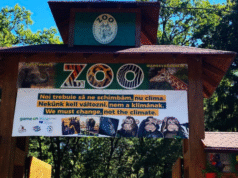 O zi printre elefanți și canguri! Zoo Târgu Mureș pregătește un program special de Ziua Mondială a Animalelor